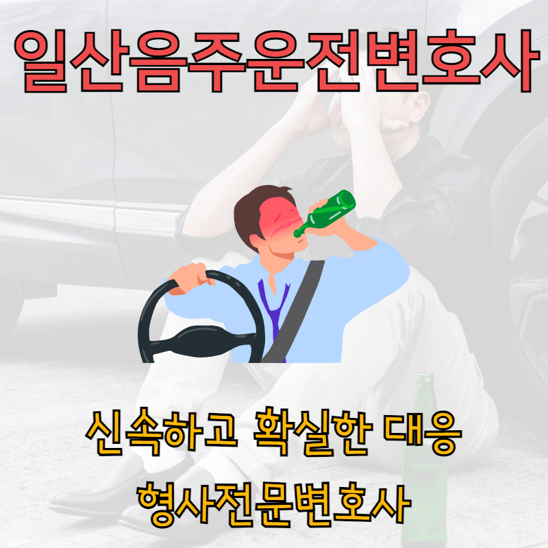 일산음주운전변호사